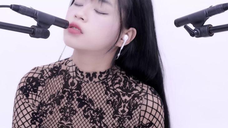 [晓美ASMR]会员福利甜耳掏耳无人声助眠 2