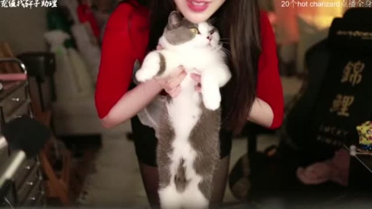 [轩子巨二兔]特殊视脚助眠合集 16