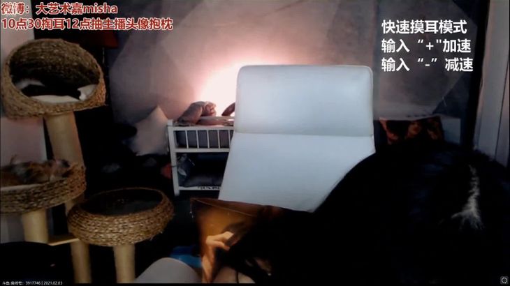 [斗鱼大艺术嘉]ASMR快速摸耳