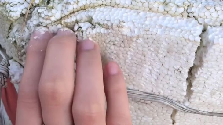 [抖音六六]助眠哄睡ASMR视频集 43