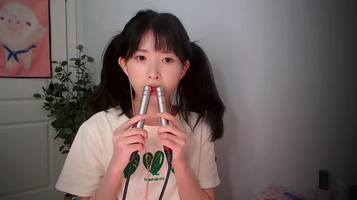 [芝麻对辣]助眠哄睡减压ASMR 8